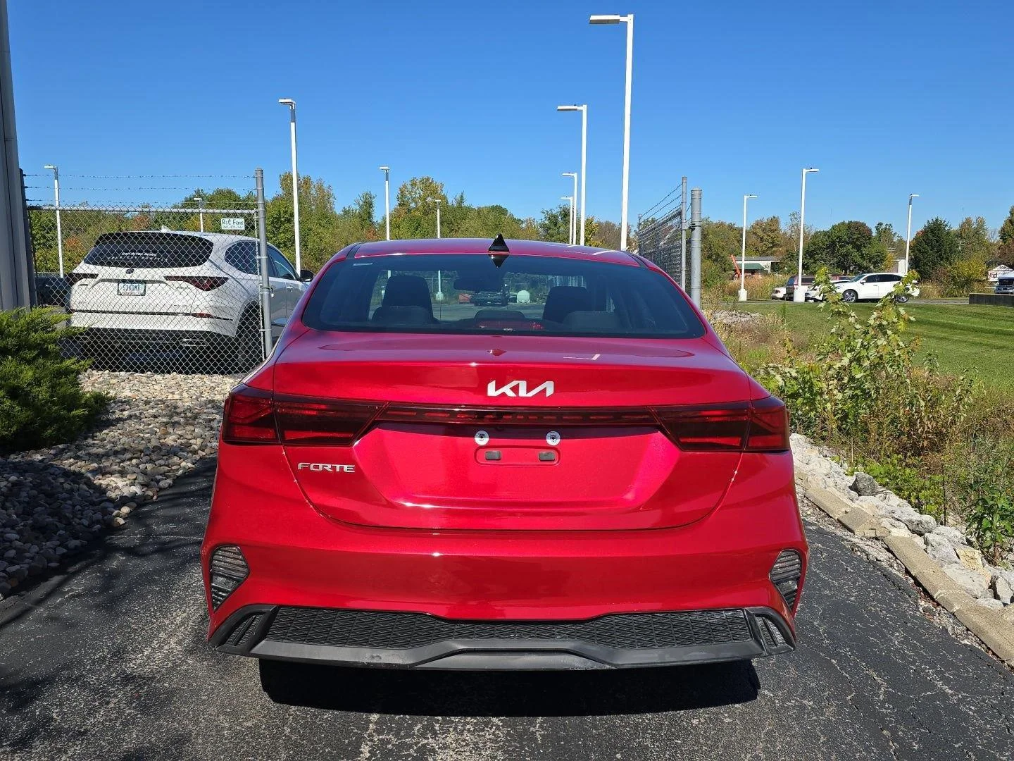 Used 2024 Currant Red Kia LXS image 8