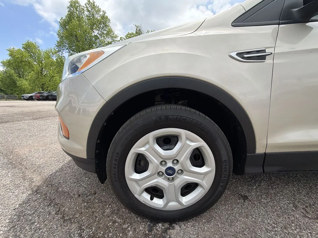 Used 2017 Gold Ford S image 10