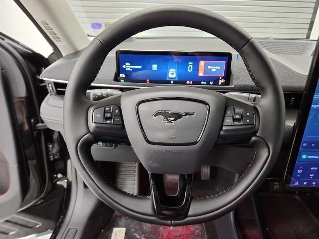 New 2026 Shadow Black Ford Premium image 14