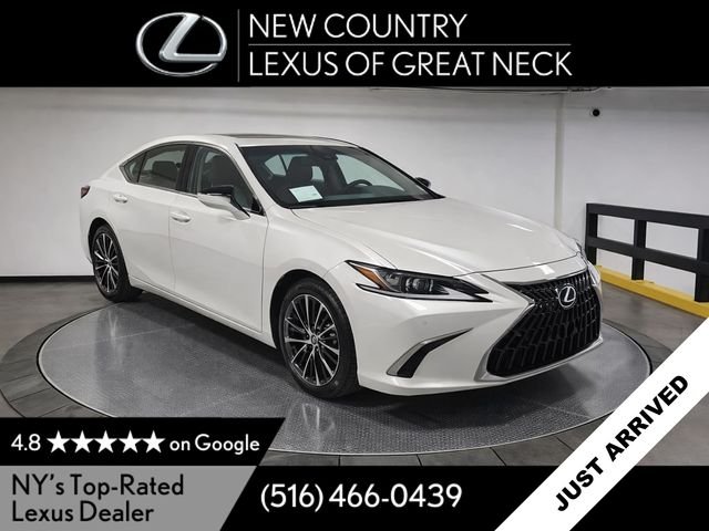 2025 Lexus ES 300h 300h's photo