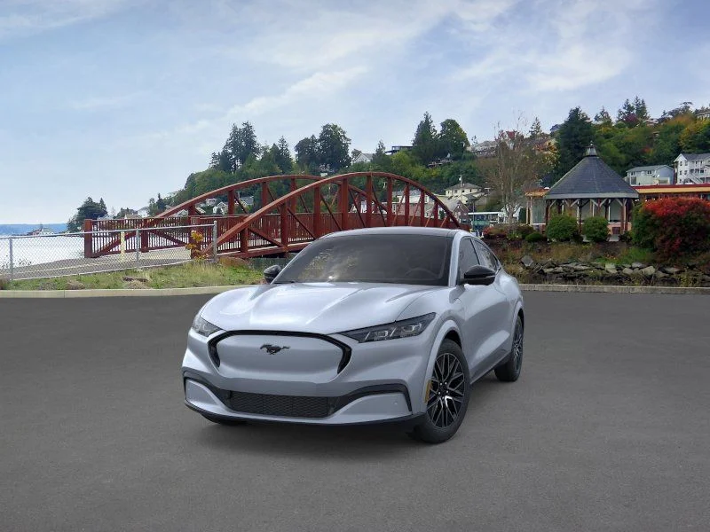 New 2026 Gray Ford Premium image 3