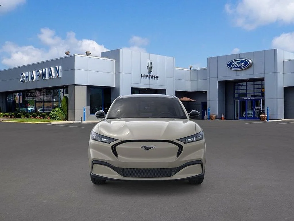 New 2026 Beige Ford Premium image 6