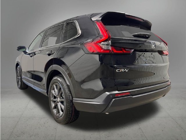 New 2027 Crystal Black Pearl Honda EX-L image 3