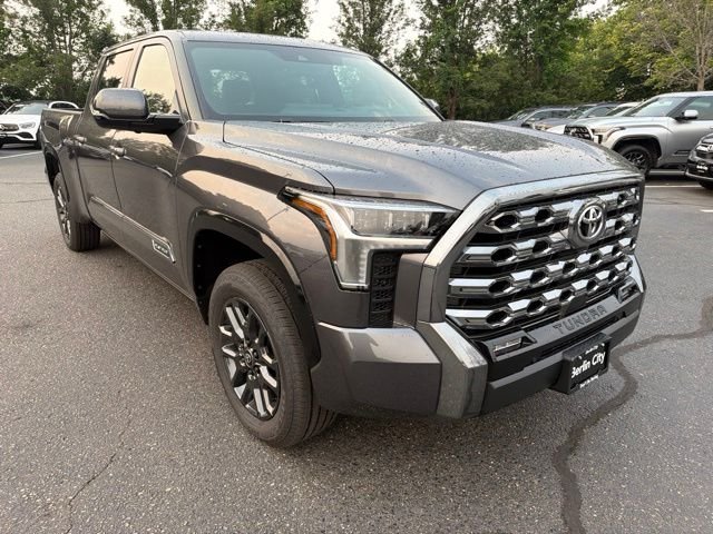 New 2026 Magnetic Gray Metallic Toyota  Platinum image 3