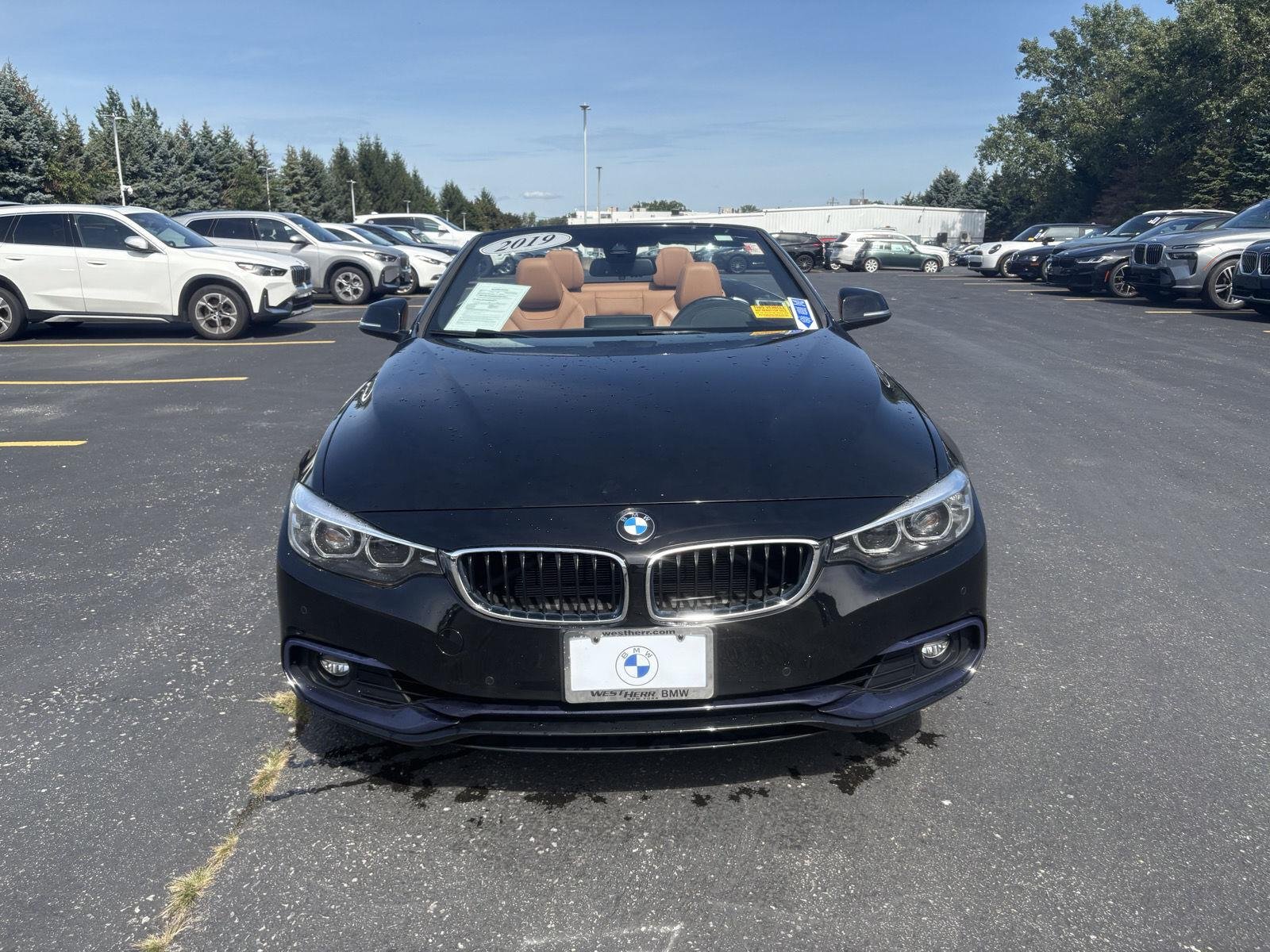 Used 2019 Jet Black BMW 430i xDrive image 2