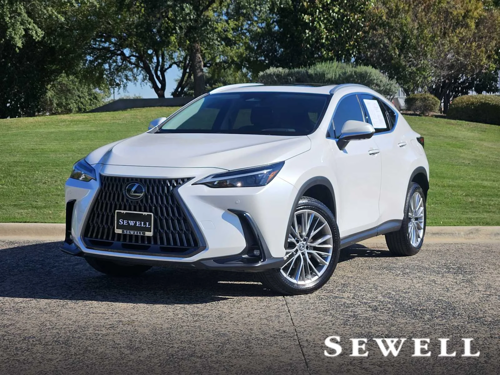 2025 Lexus NX