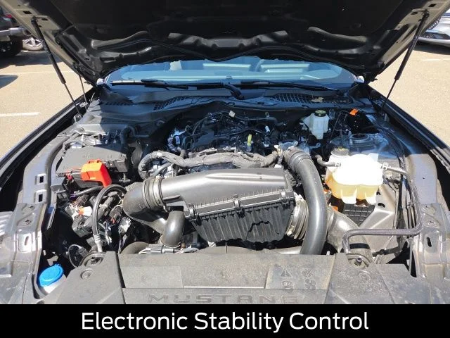 2026 Ford Mustang EcoBoost Fastback - Photo 13