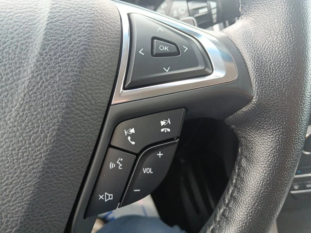 Used 2017 Magnetic Ford SEL image 22