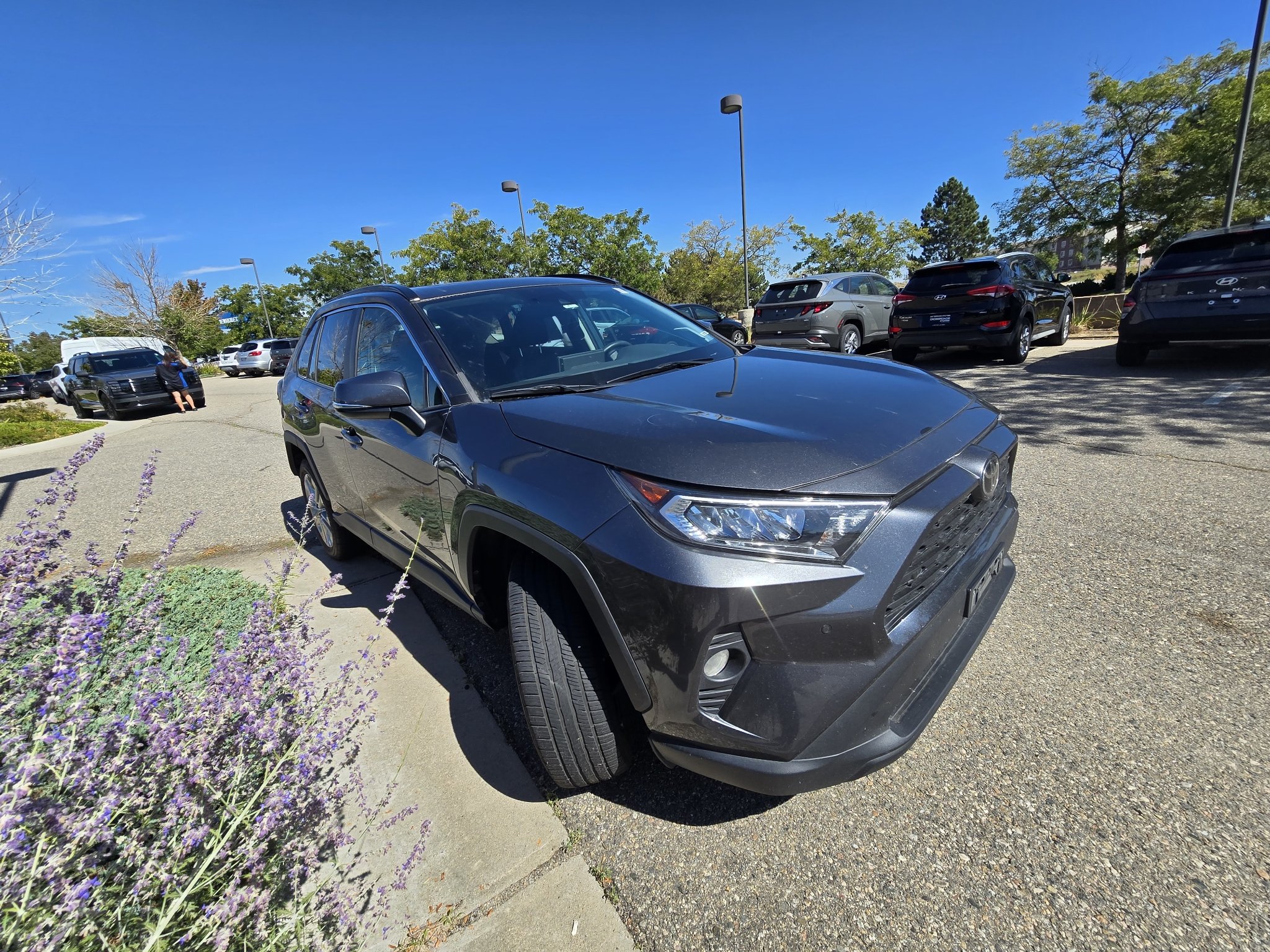Used 2020 Magnetic Gray Metallic Toyota XLE Premium image 7