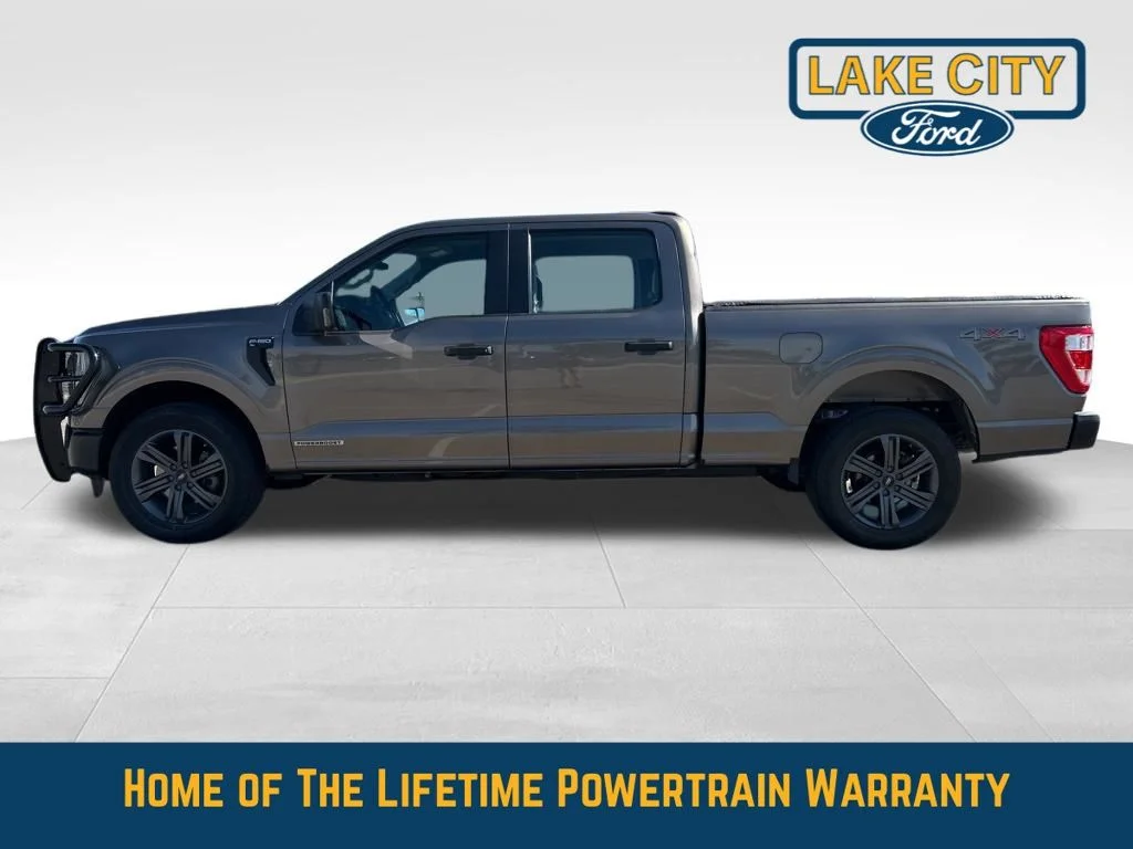 Used 2023 Ford F-150 XL with VIN 1FTFW1ED1PFA89871 for sale in Lake City, Minnesota