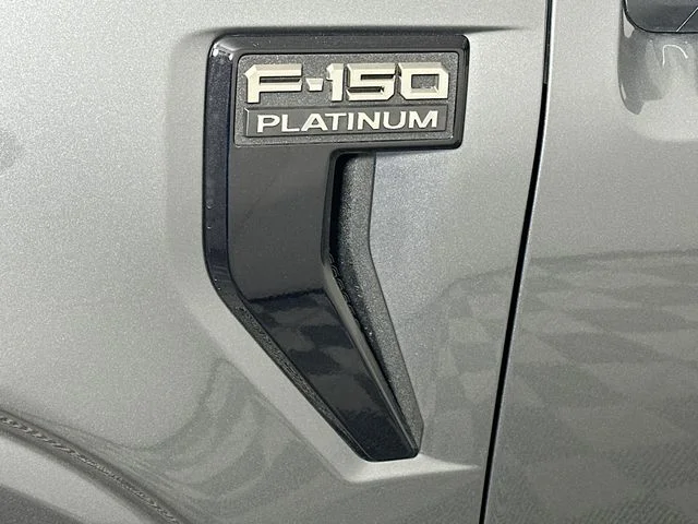 New 2026 Gray Ford Platinum image 28