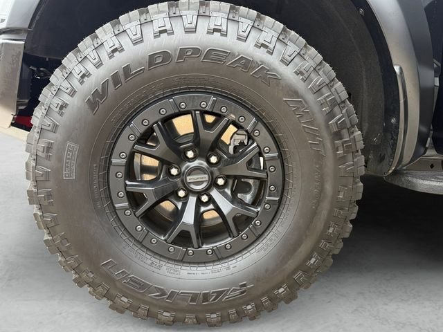 2023 Ford F-150 Raptor - Photo 23