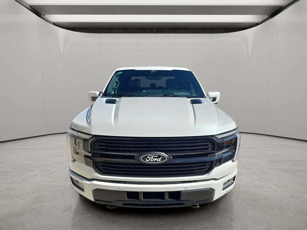 2025 Ford F-150 Platinum - Photo 8