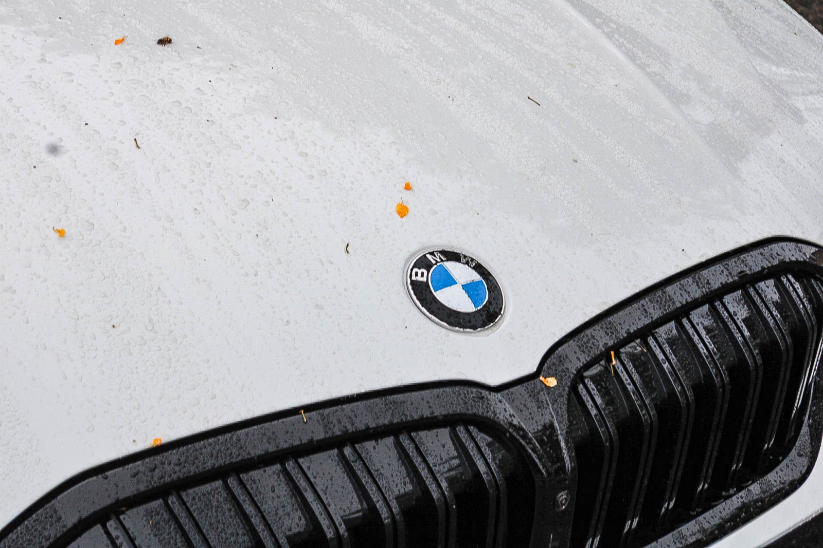 New 2026 Alpine White BMW 330i NA image 9