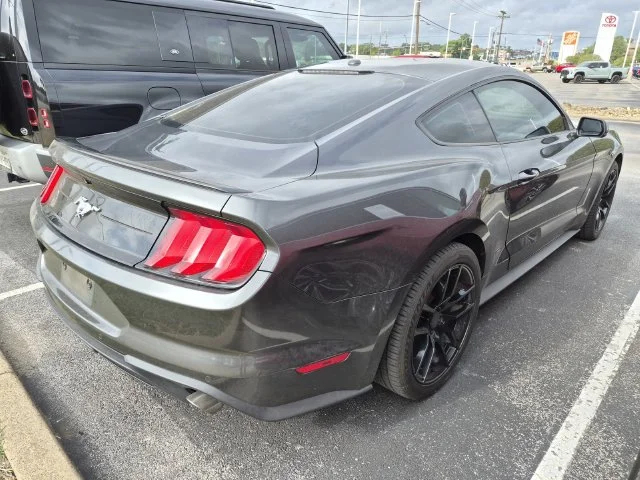 Used 2019 Magnetic Ford EcoBoost Premium image 4