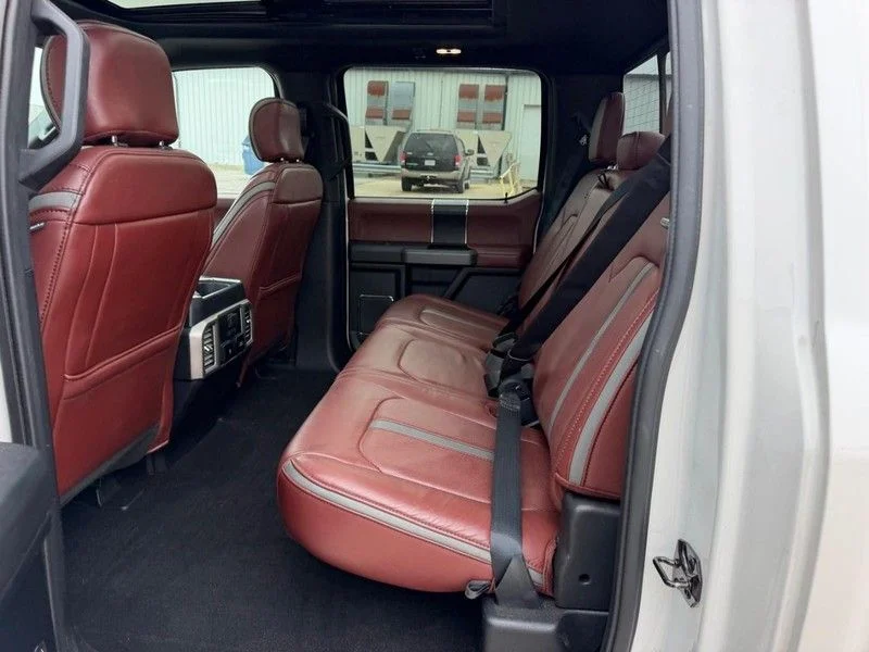 Used 2019 White Ford Platinum image 7