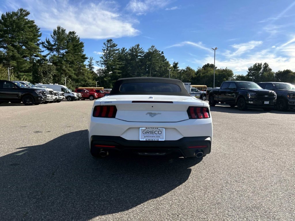 Used 2024 White Ford EcoBoost Premium image 4