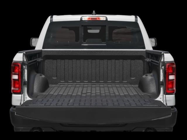 New 2026 Silver Zynith Exterior Paint RAM Rebel image 8