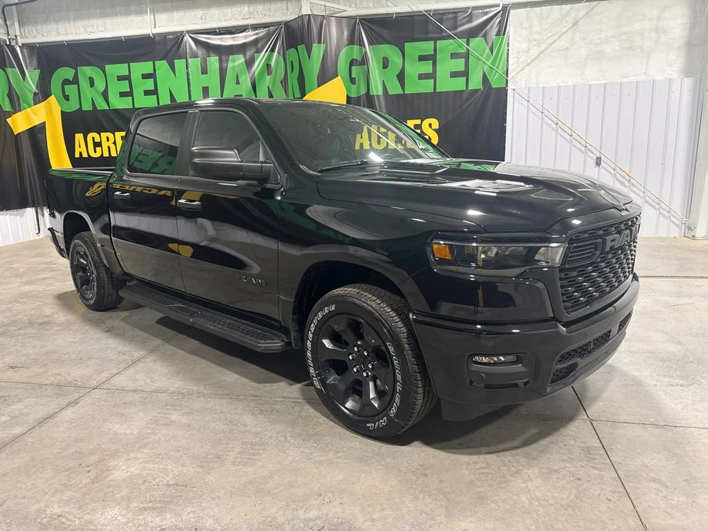 New 2026 Diamond Black Crystal Pearl-Coat Exterior Paint RAM Express image 2