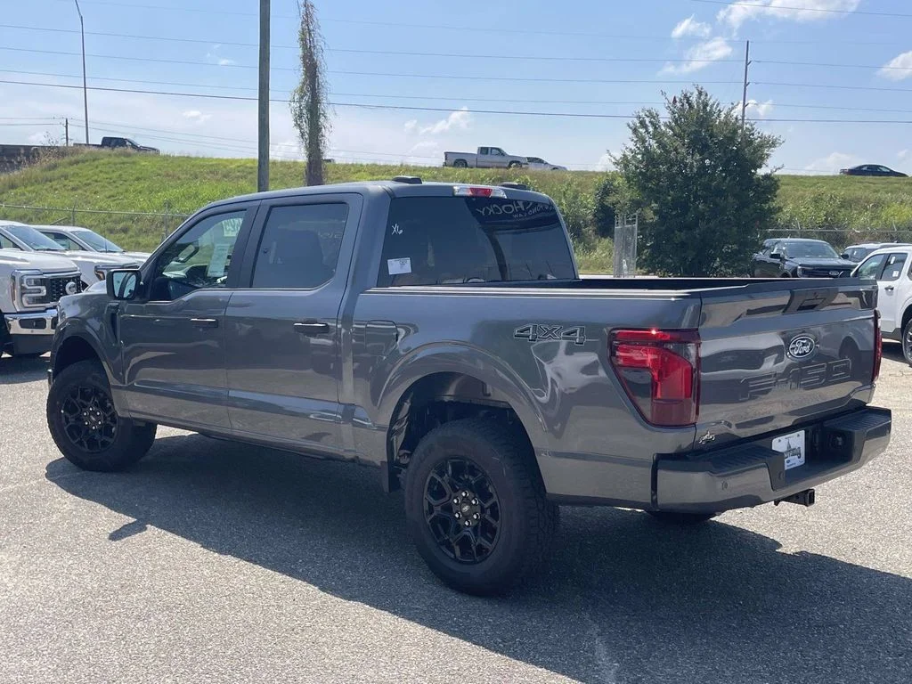 New 2026 Gray Ford STX image 5