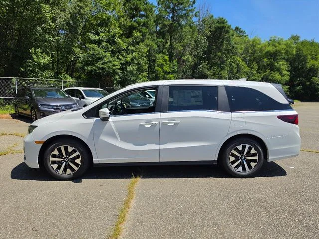 New 2026 Platinum White Pearl Honda EX-L image 3
