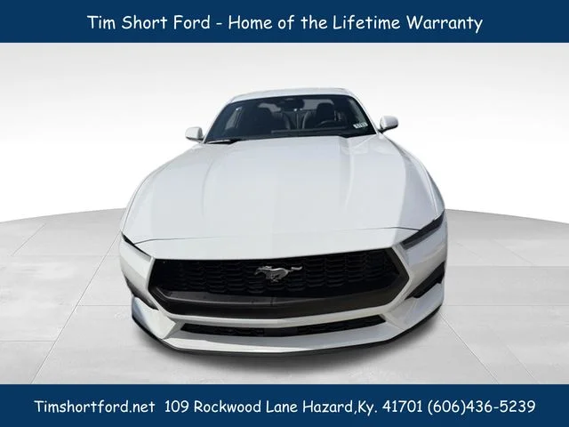 New 2026 White Ford EcoBoost Premium image 3