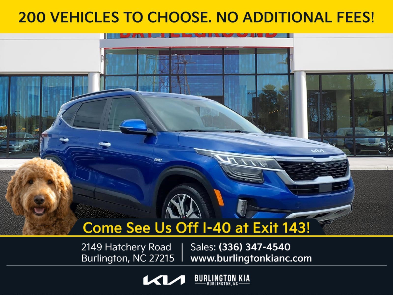 Used 2023 Neptune Blue Kia SX image 1