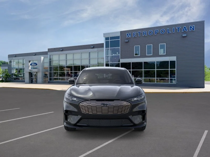 2025 Ford Mustang Mach-E GT - Photo 6