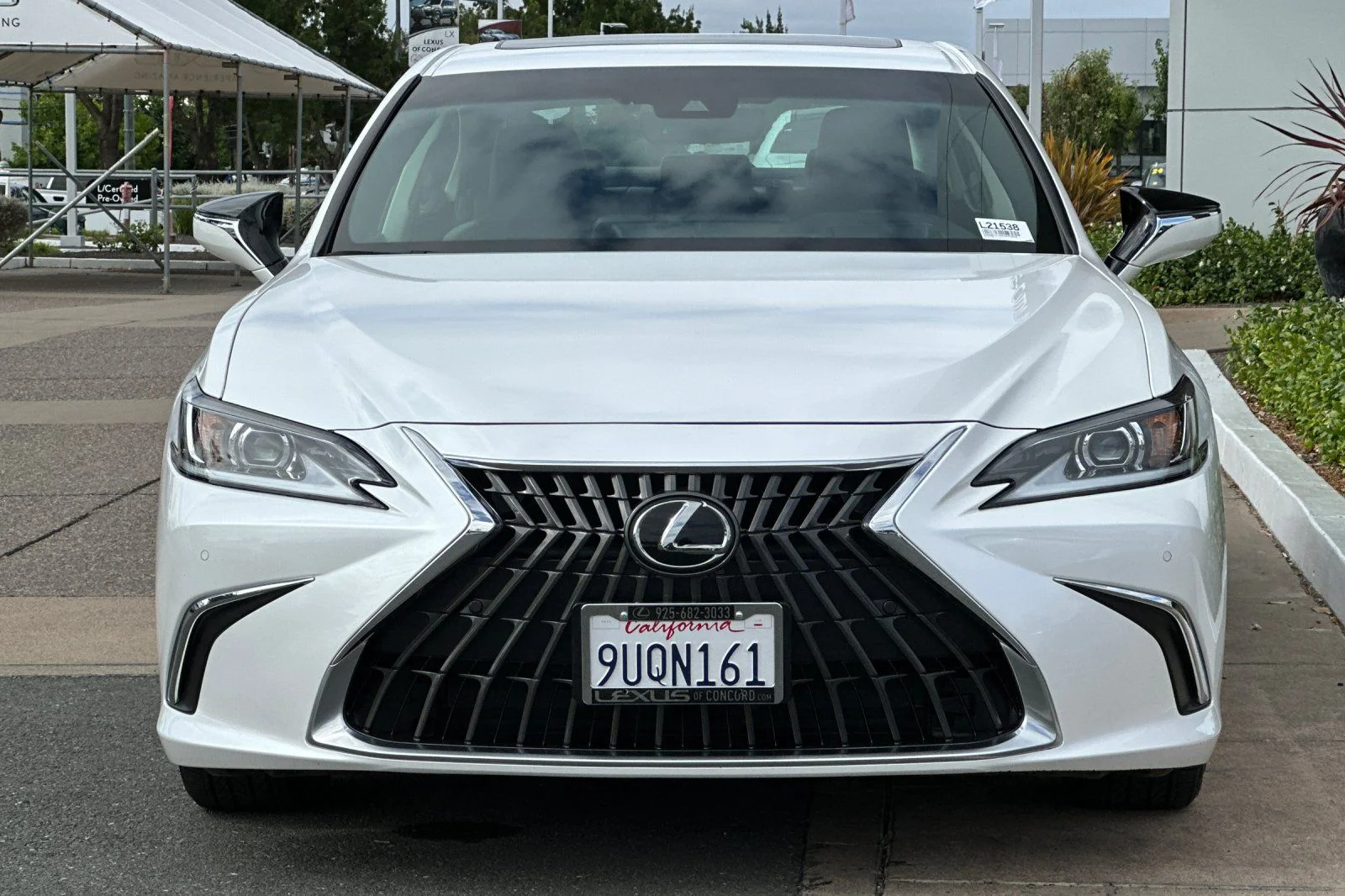 Used 2025 White Pearl Lexus 300h image 6