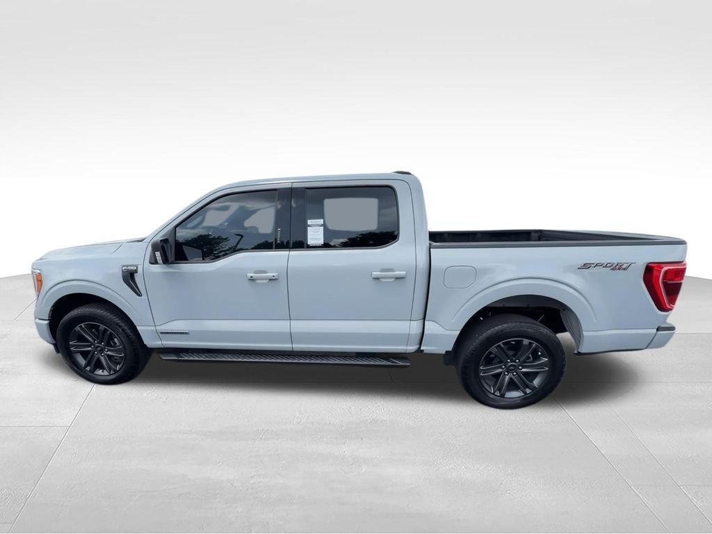 Used 2023 White Ford XLT image 5