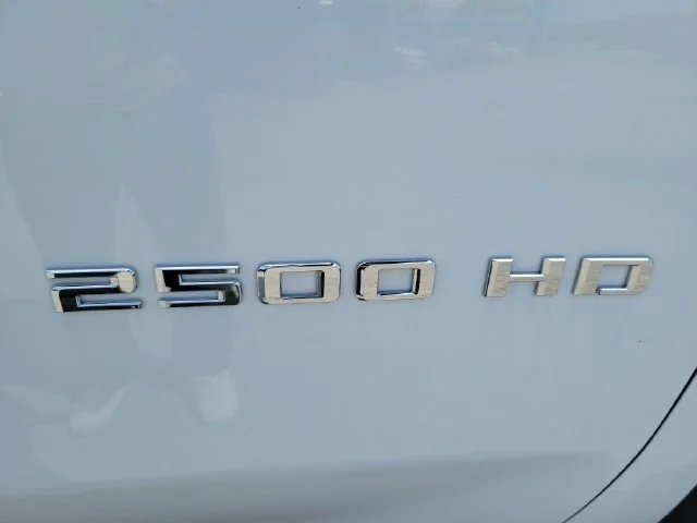 New 2025 Summit White Chevrolet WT image 27