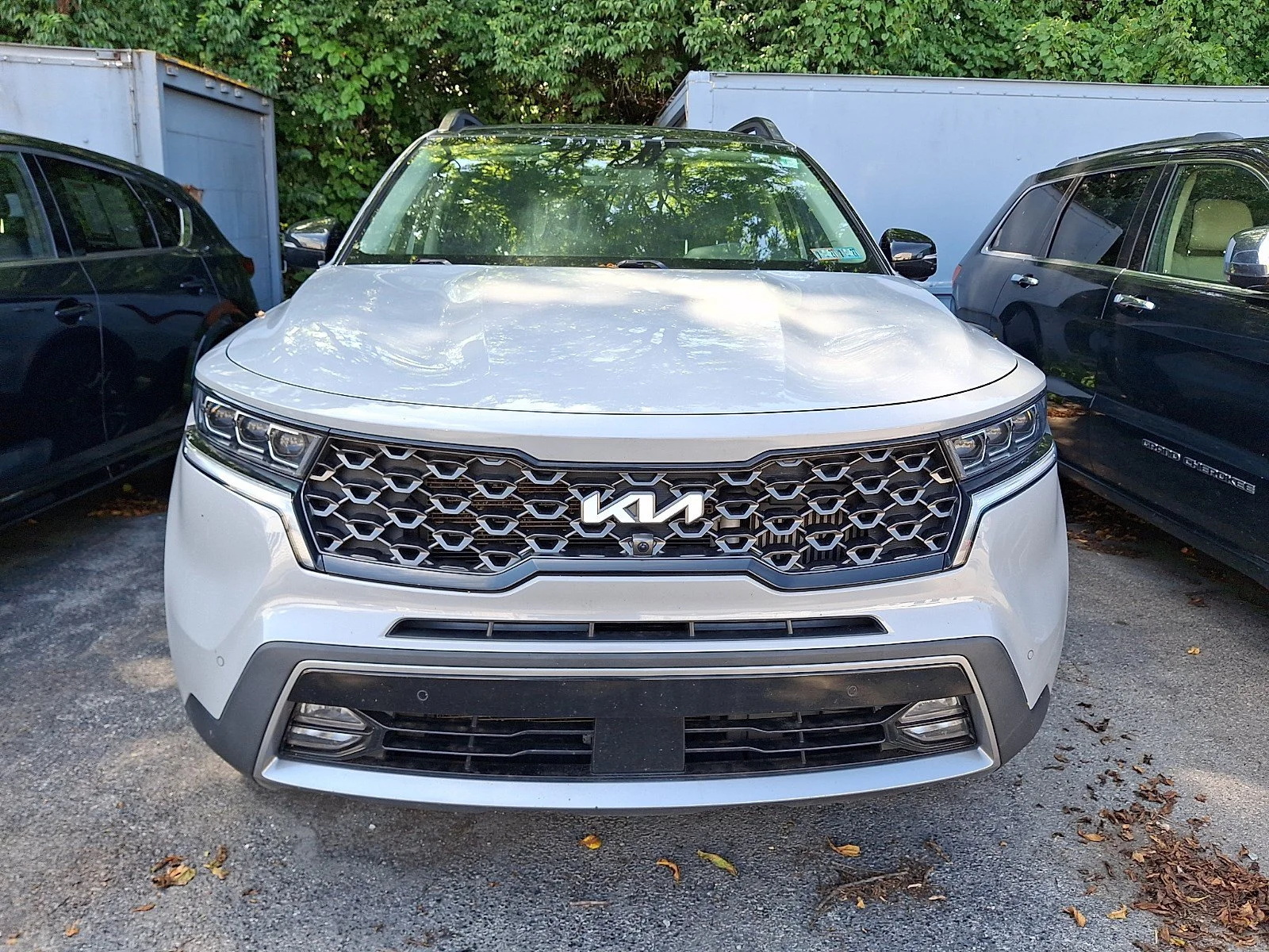 Used 2022 Wolf Gray Kia X-Line SX Prestige image 2