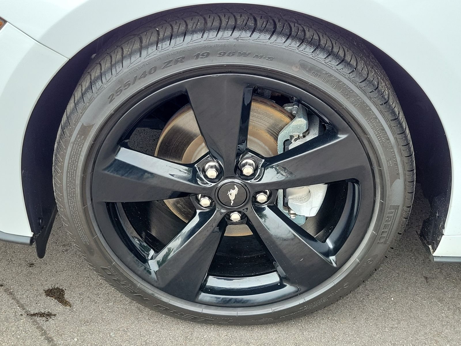 Used 2022 White Ford EcoBoost Premium image 6