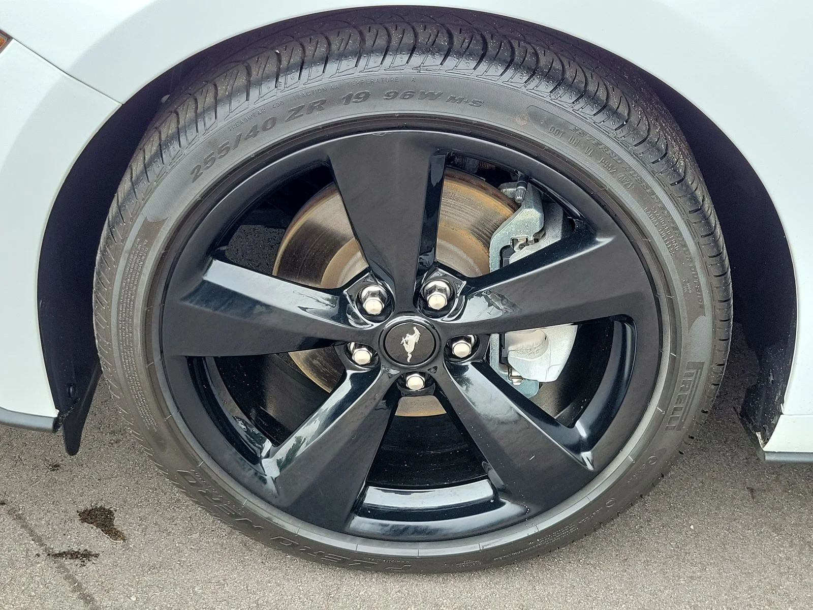 Used 2022 Oxford White Ford EcoBoost Premium image 6