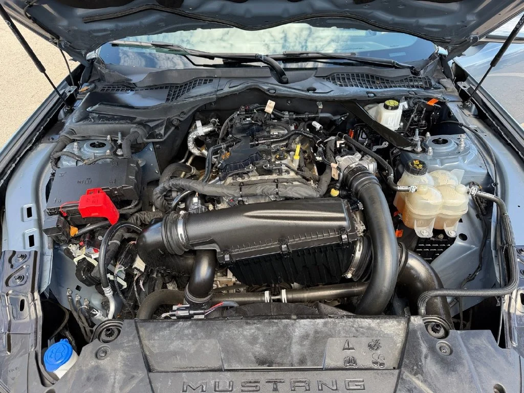 Certified Used 2024 Blue Ford EcoBoost Premium image 18