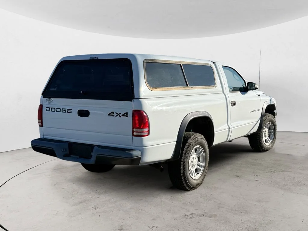 Used 2002 White Dodge Base image 5