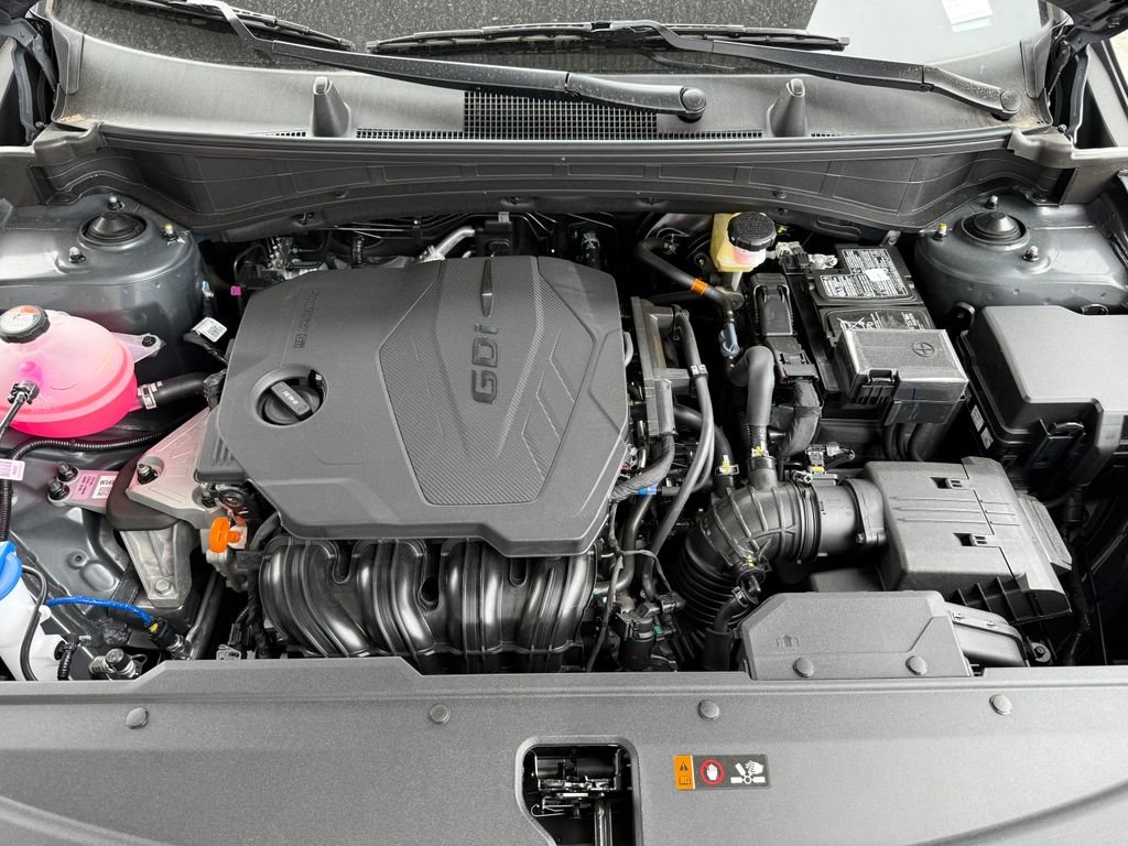 New 2026 Panthera Metal Kia LX image 10