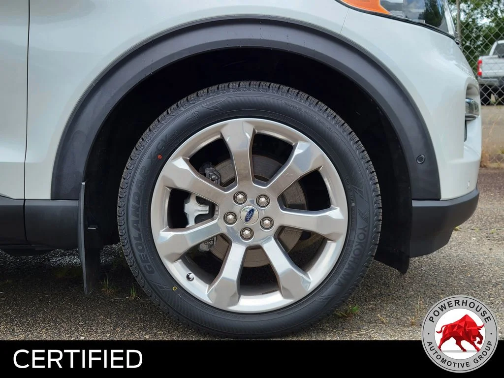 Used 2020 White Ford Platinum image 11