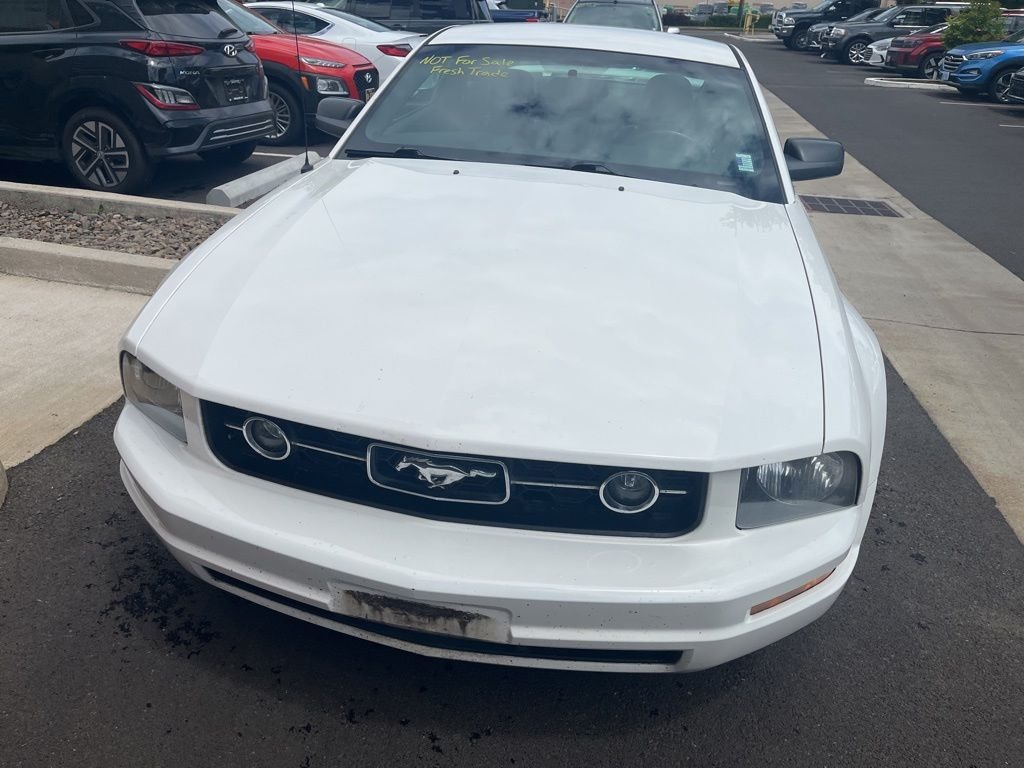 2006 Ford Mustang's photo