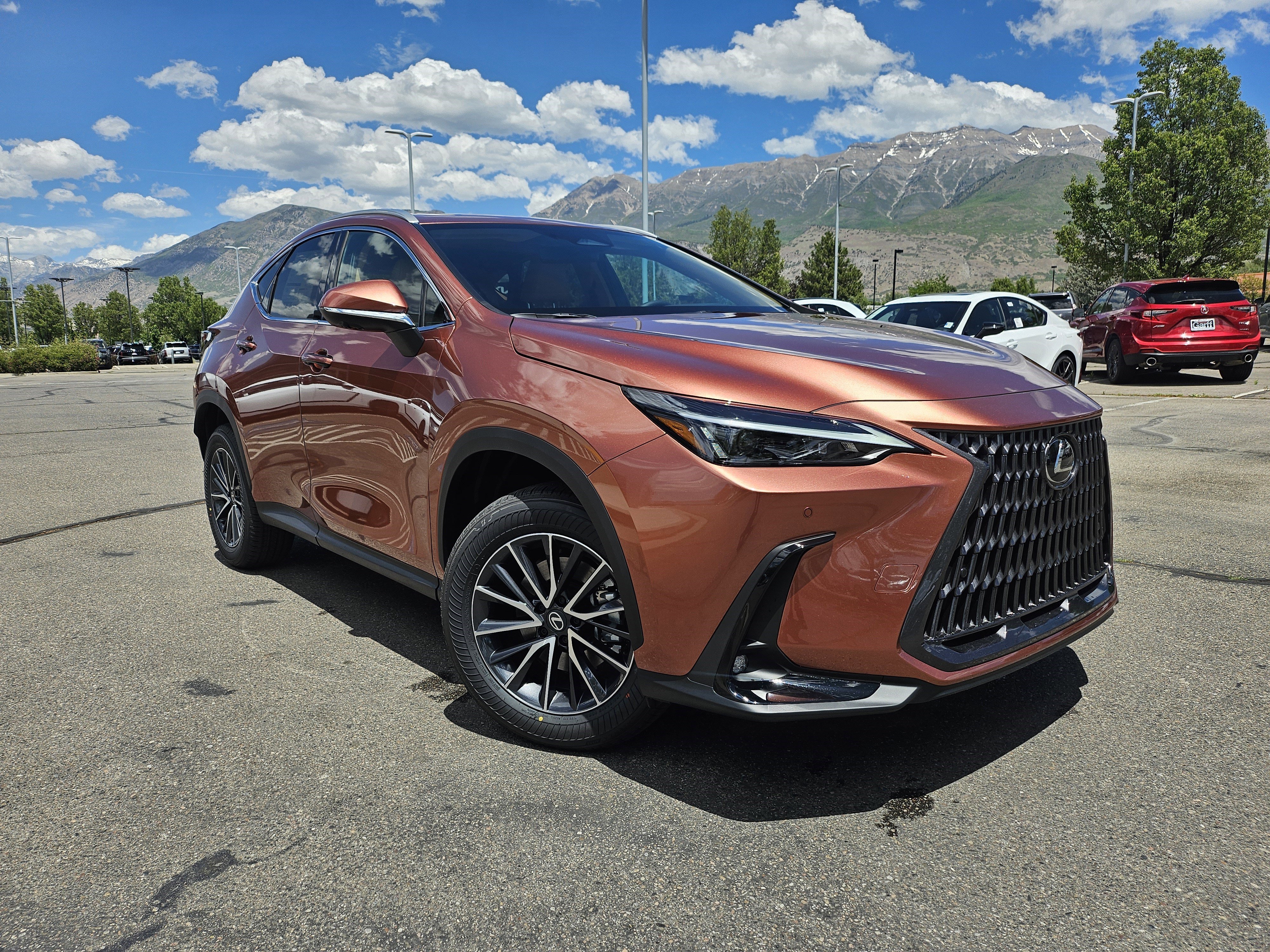 New 2026 Copper Crest Lexus PREMIUM image 3