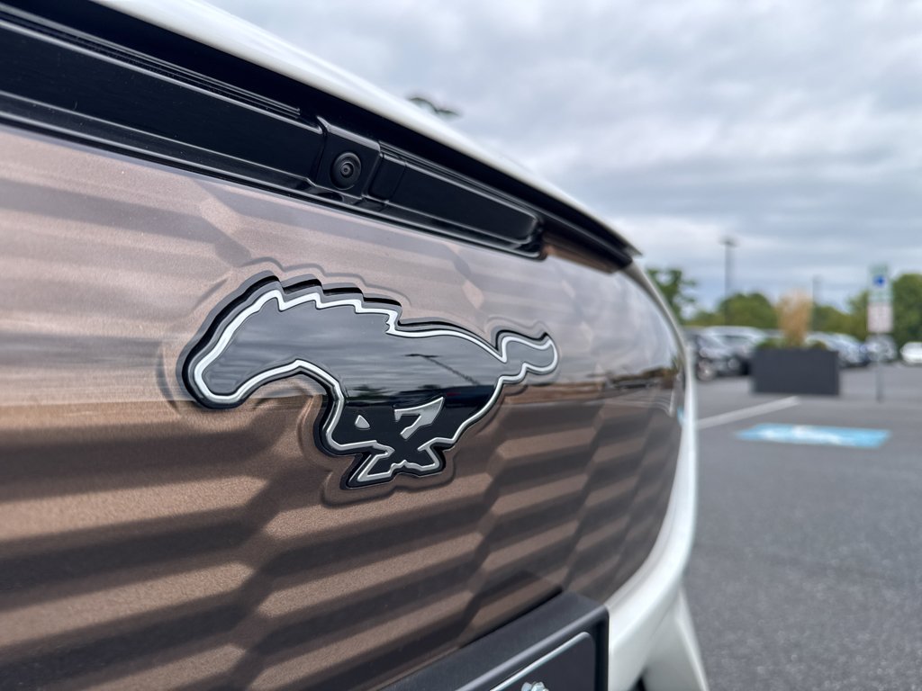 2025 Ford Mustang Mach-E GT - Photo 22