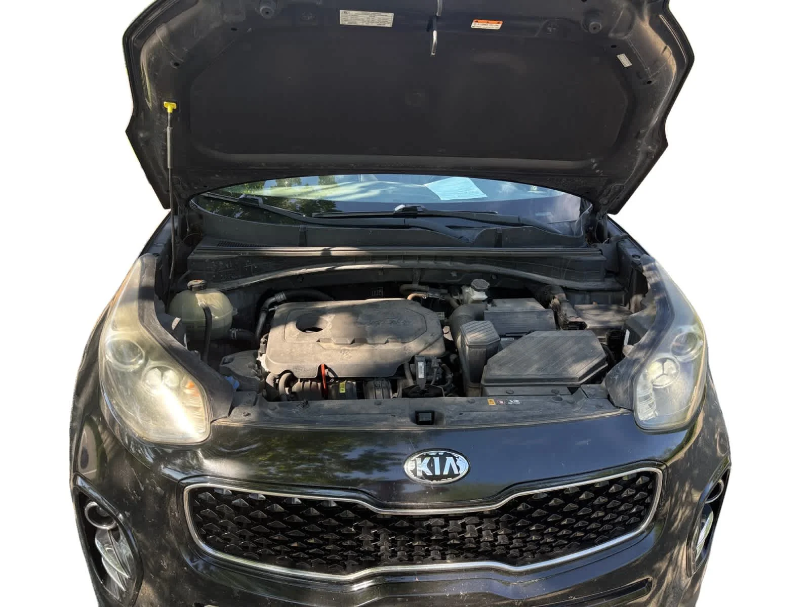 Used 2018 Black Cherry Kia EX image 23