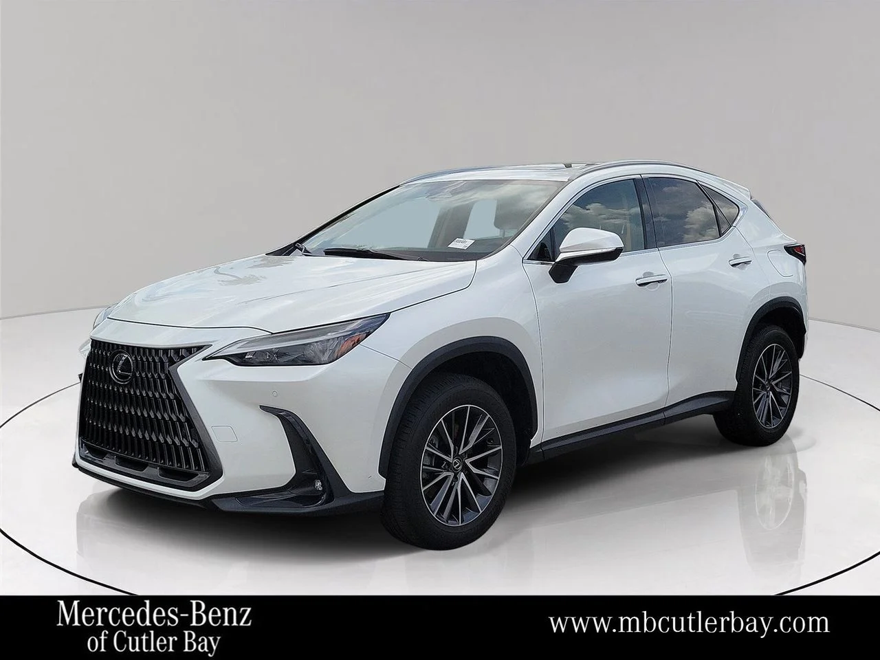 2024 Lexus NX