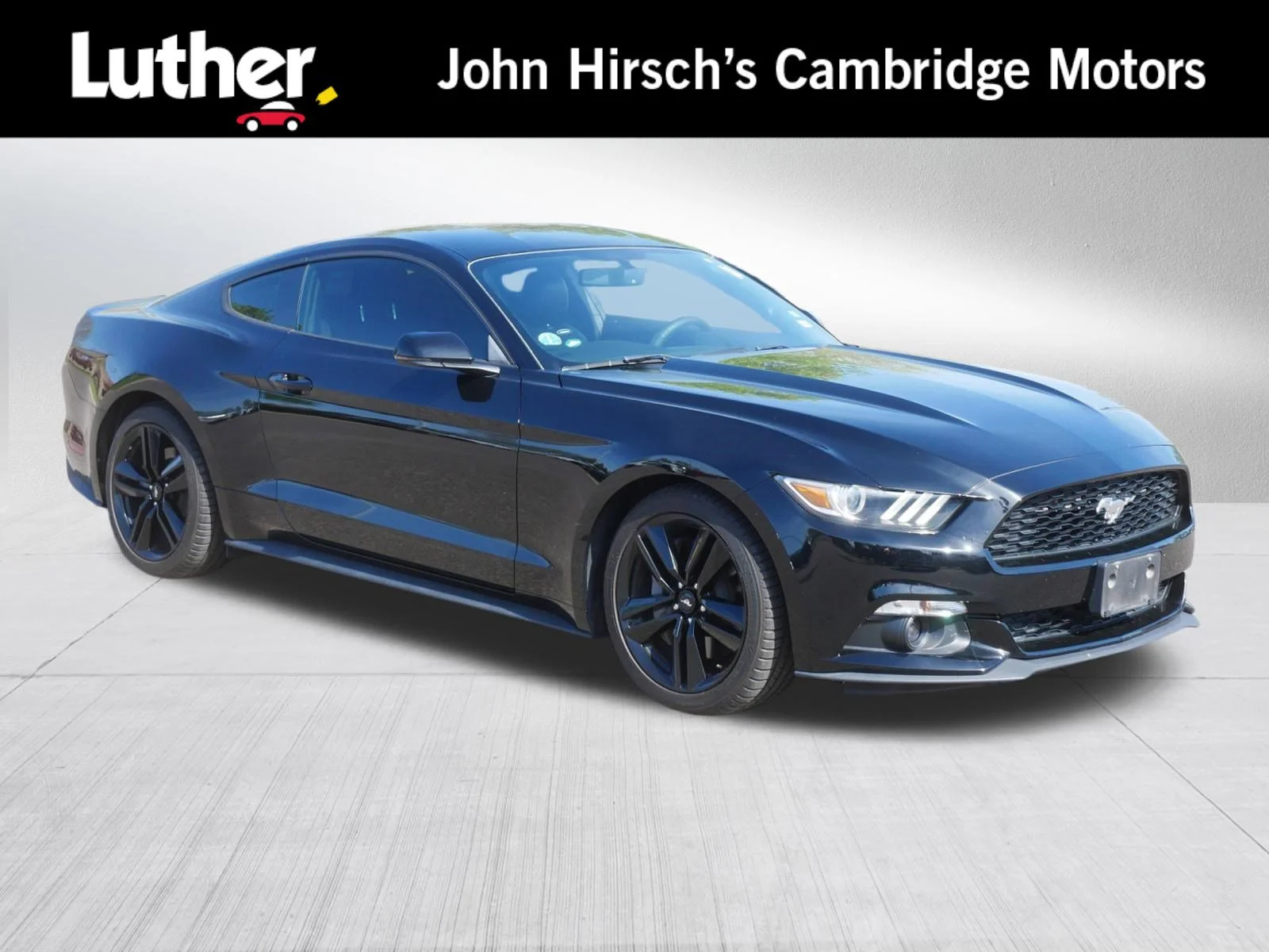2015 Ford Mustang's photo