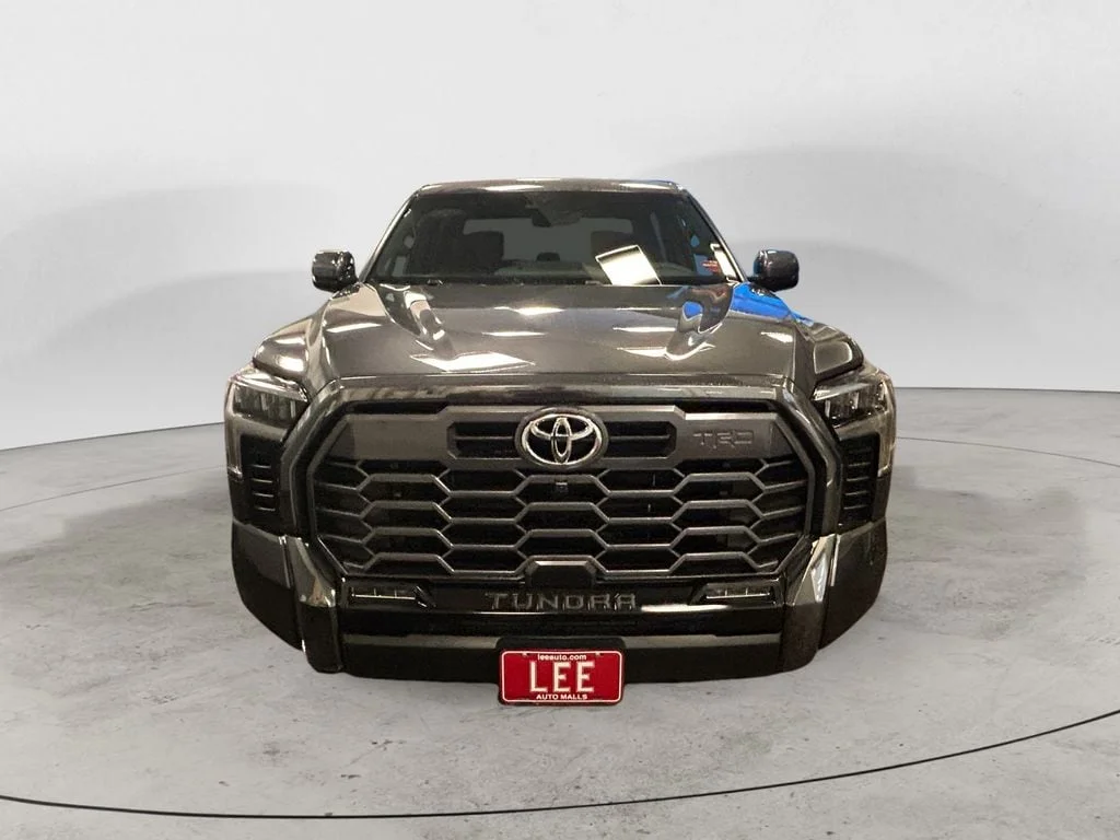 New 2026 Magnetic Gray Metallic Toyota Platinum image 8