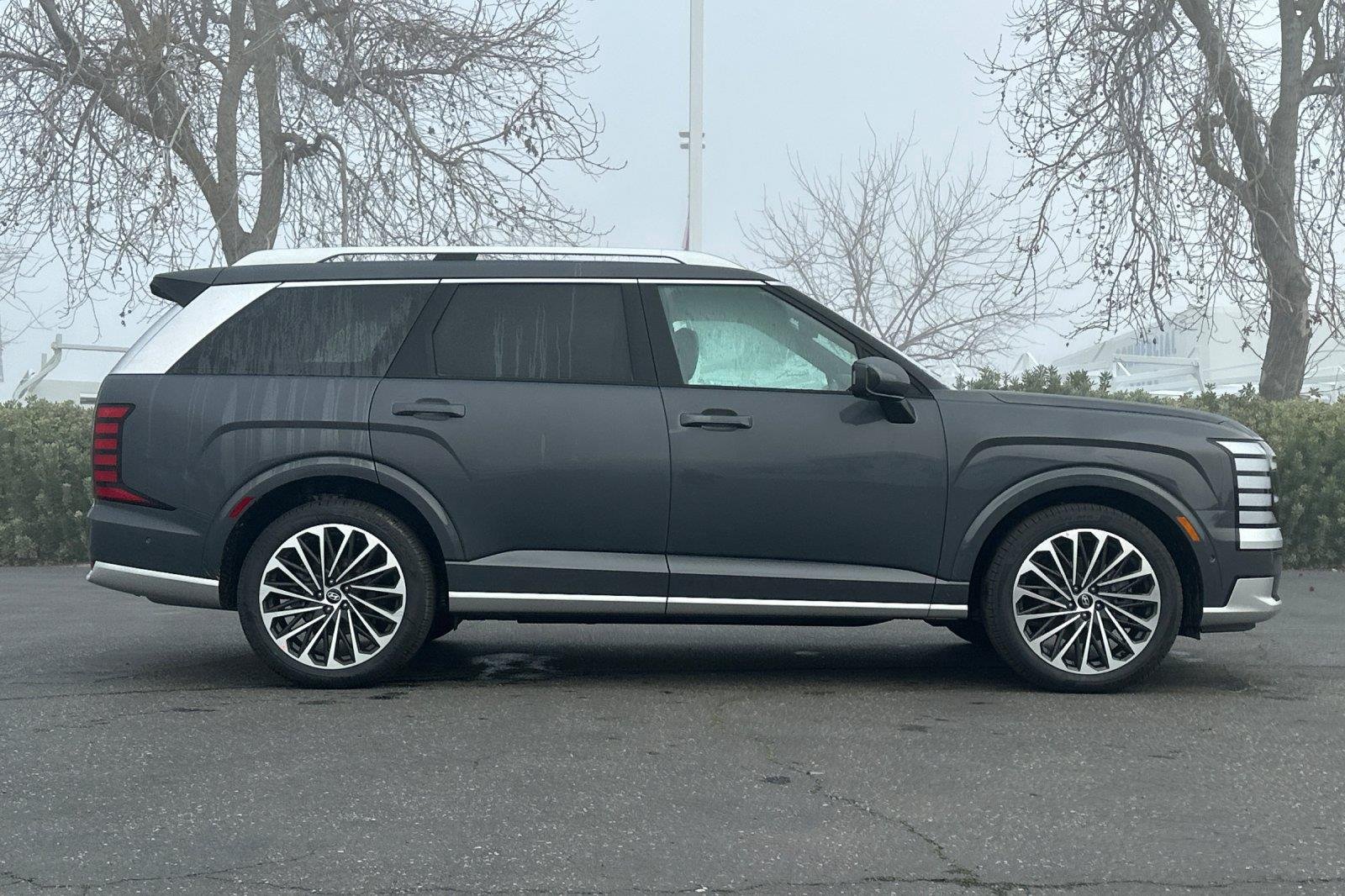 New 2026 Ecotronic Gray Pearl Hyundai Calligraphy image 2