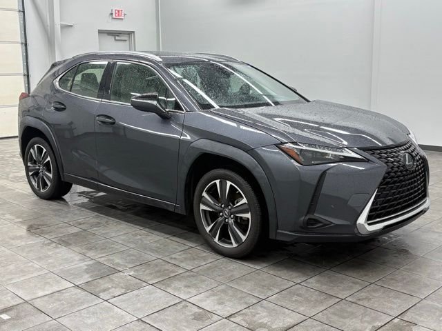 2023 Lexus UX 300h 250h's photo