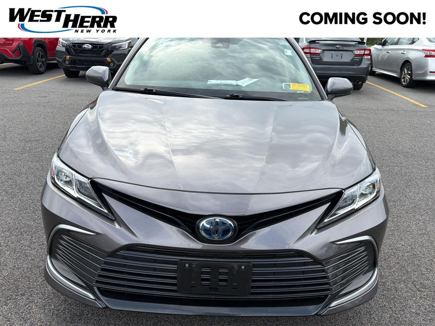 Used 2021 Predawn Gray Mica Toyota Hybrid LE image 1