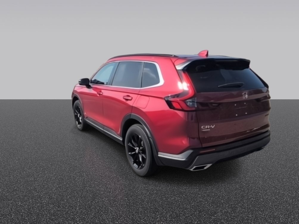 Used 2024 Red Honda Sport image 6