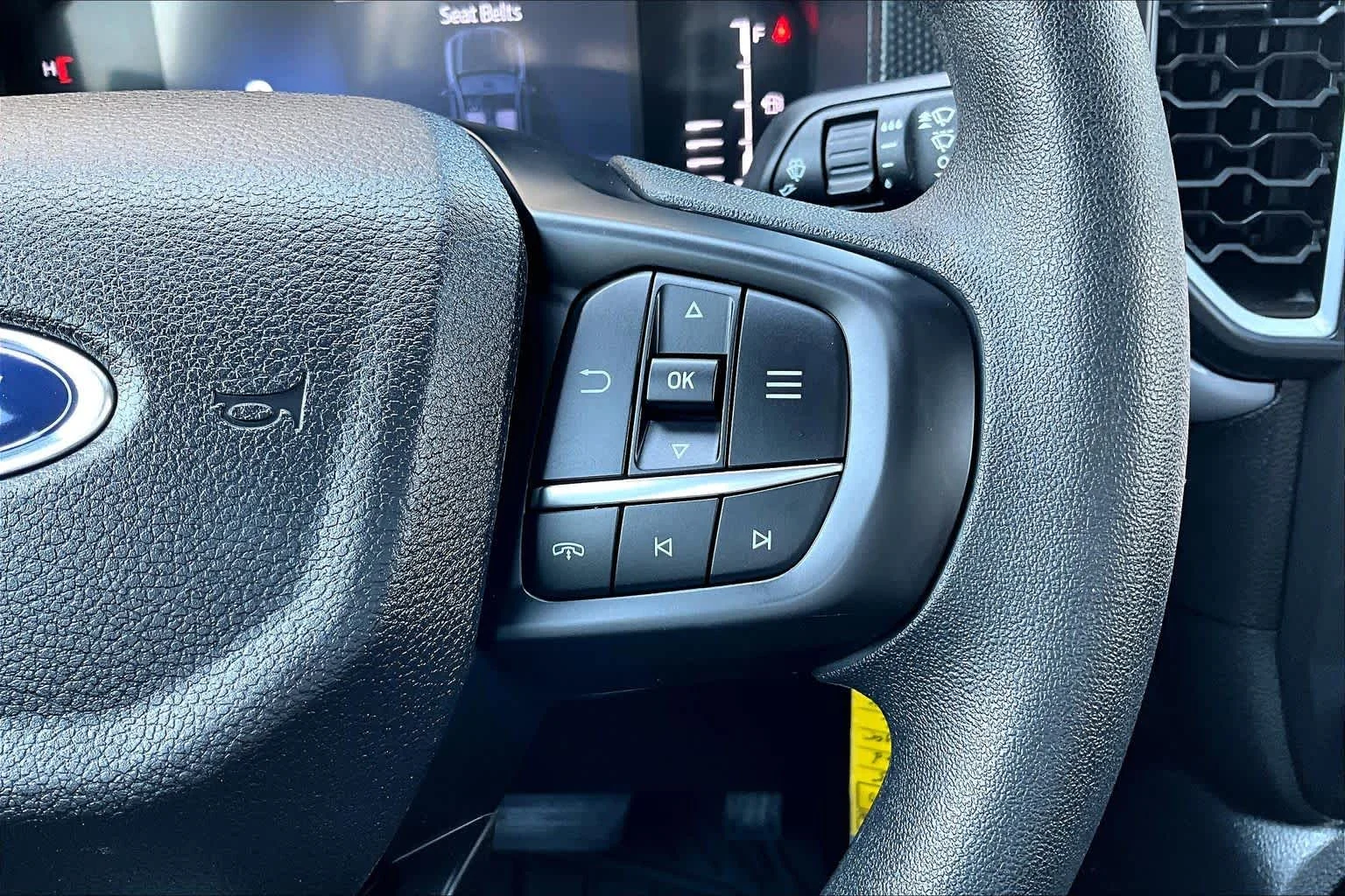 Used 2025 Shadow Black Ford XL image 25